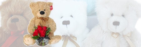 VALENTINE'S DAY TEDDY BEARS & SOFT TOYS