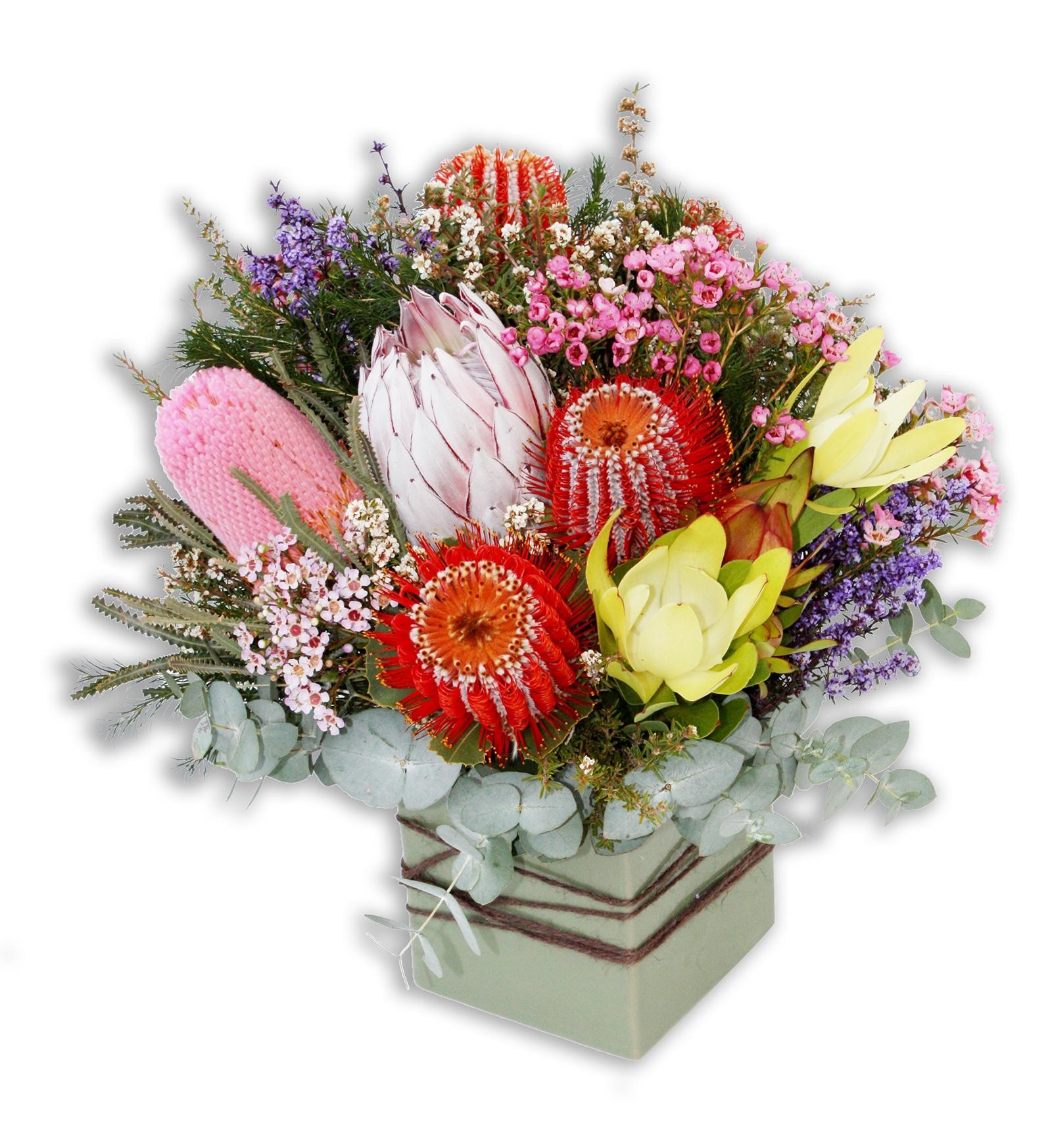 Australian Native Flowers Perth Native Flowers Perth Delivery