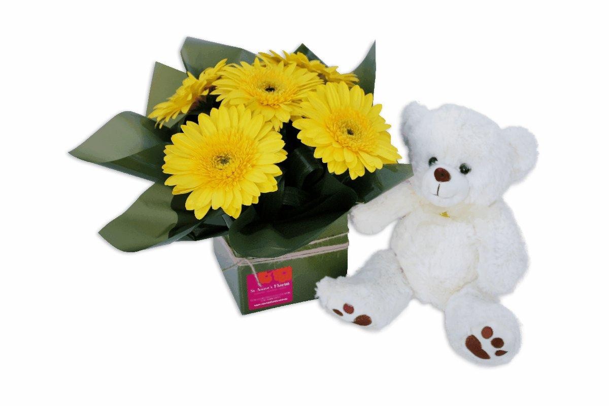 Newborn Baby Flowers & Teddy Bear Perth Flowers & Teddy Bear Perth