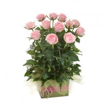 Valentine's Day Box Arrangement of 12 Long Stem Pink Roses