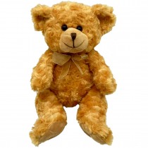 Charlie Brown Teddy Bear