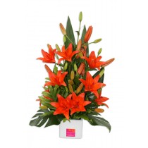 funky-lily-flowers-perth