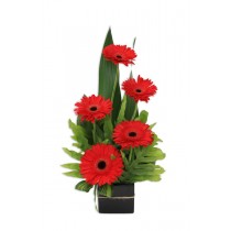 Gerbera-Jazz-Flower-Arrangement-Perth-1
