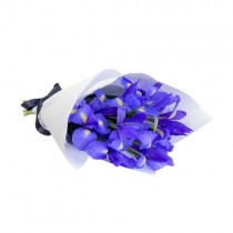 Iris Bouquet