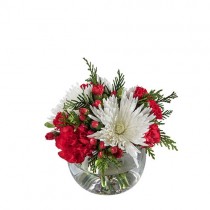 Noel Christmas Flowers 