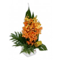 Mother's Day Orchids in Vase Flower Arrangement