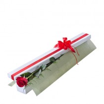 Single Long Stem Red Rose in Presentation Box