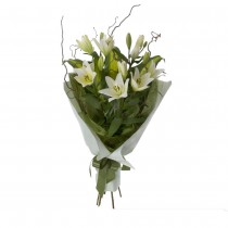 Majestic White Sympathy Funeral Sheath