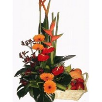 Tropical-Flowers-and-Fruit-perth-2