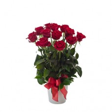 Valentine's Day 1 Dozen Long Stem Red Roses in Ceramic Vase