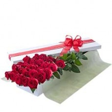 Valentine's Day 2 Dozen Long Stem Red Roses in Presentation Box