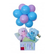 Baby Twins Balloon Topiary Gift