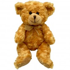 Charlie Brown Teddy Bear
