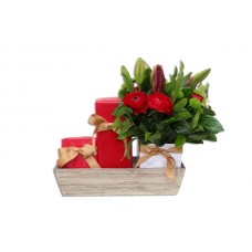 Flowers with Candle & Diffuser Gift