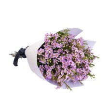 Geraldton Wax Bouquet