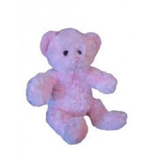 Jenny Teddy Bear