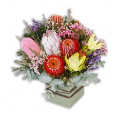 large-native-flowers-perth-1