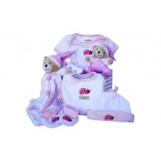 Little Treasures Baby Girl Hamper