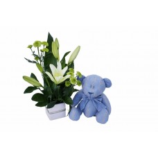 Teddy Bear with Flowers in Ceramic Vase