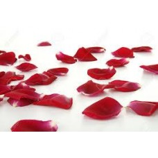 Red Rose Petals - Silk