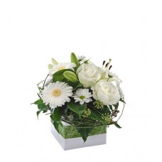 Petite White Boxed Flower Arrangement