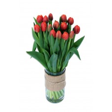 Tulips in Glass Vase