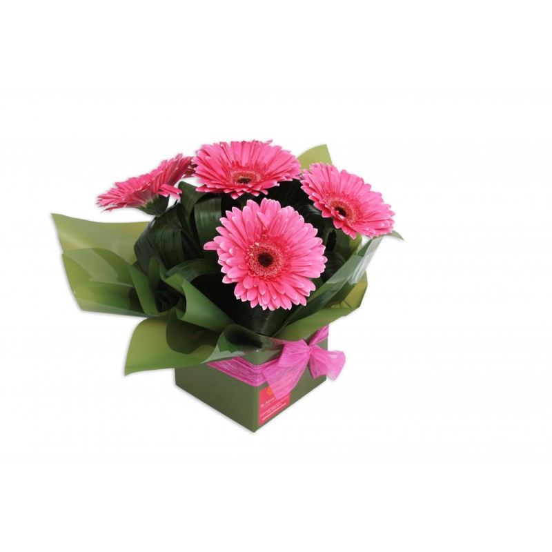 gerbera-flowers-arrangement-perth-3