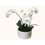 3 Phalaenopsis Orchids In Large Round Ceramic Vase