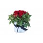 Roses in a Hat Box - Medium