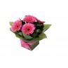 gerbera-flowers-arrangement-perth-2