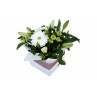 Thinking-of-You-Flower-Arrangement-perth-4