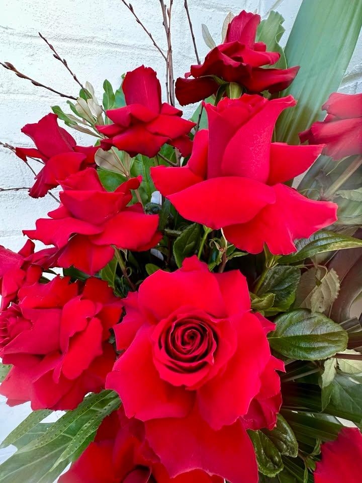 red roses perth valentines