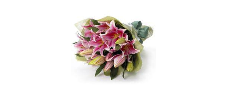 Pink Oriental Lily Bouquet Perth